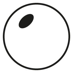Clear Single Vision Lenses (Included)