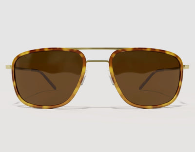 Front view of The Arrival 155mm XL premium wide-fit sunglasses in Tortoise and Gold – structured aviator-style silhouette with adjustable nose pads.