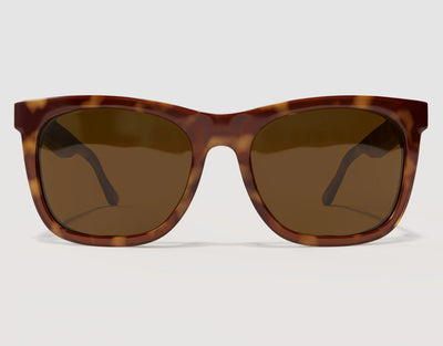 Front view of Classic Pro 165mm XXL extra wide sunglasses in Tortoise – premium wide frame for large heads with thicker acetate design.